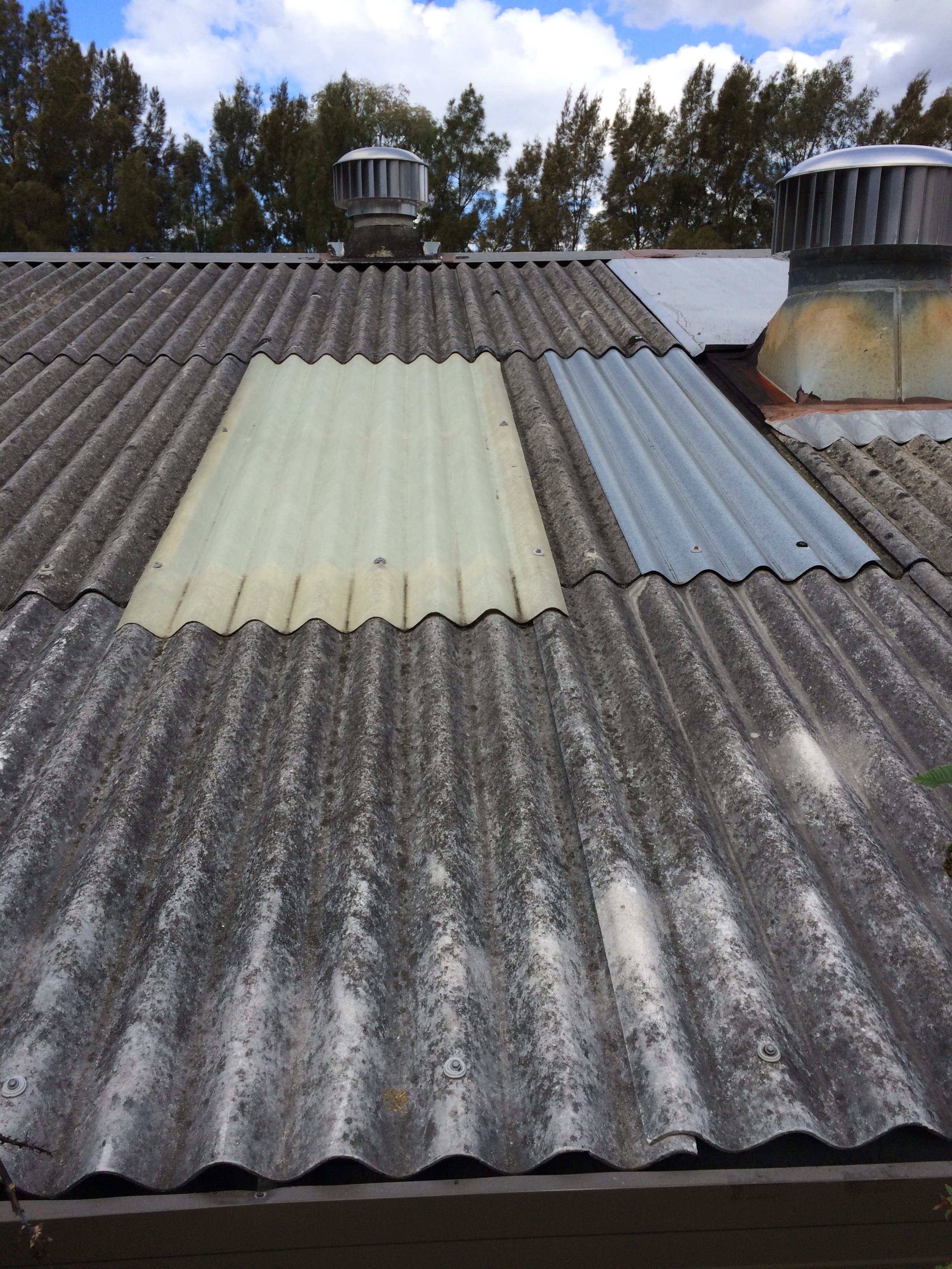 Bernie Banton  Asbestos Cement Corrugated Roof Wall and Fence Sheeting