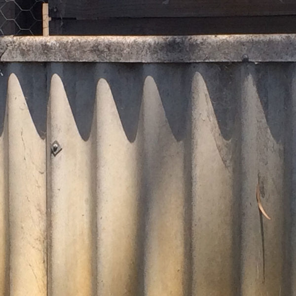 Bernie Banton | Asbestos Cement Corrugated Roof Wall and Fence Sheeting
